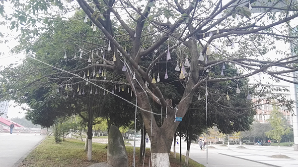 澳门彩票有限公司网上投注