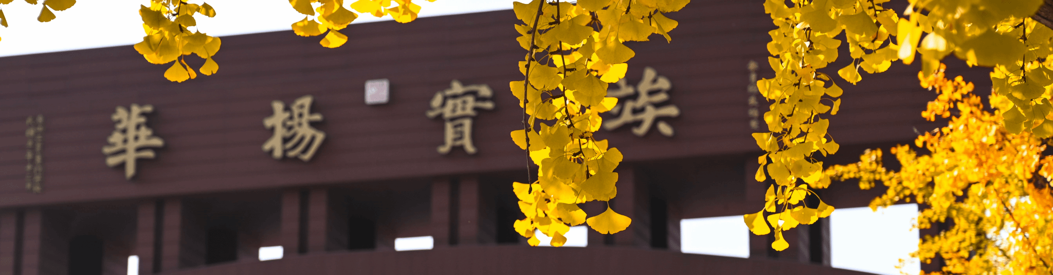 澳门彩票有限公司网上投注