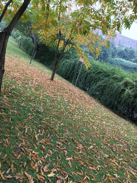 澳门彩票有限公司网上投注