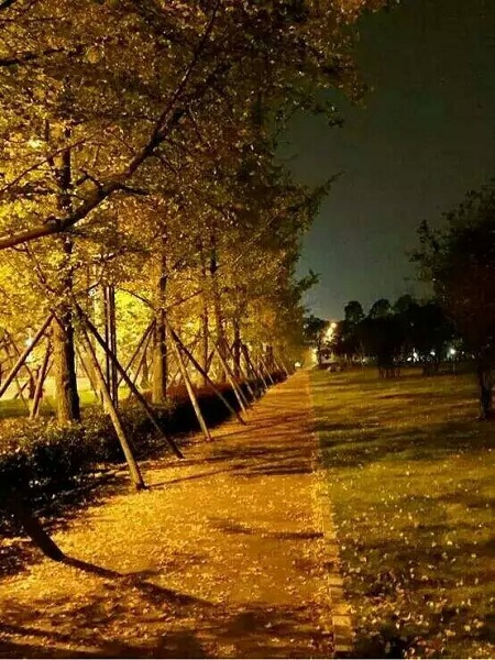澳门彩票有限公司网上投注