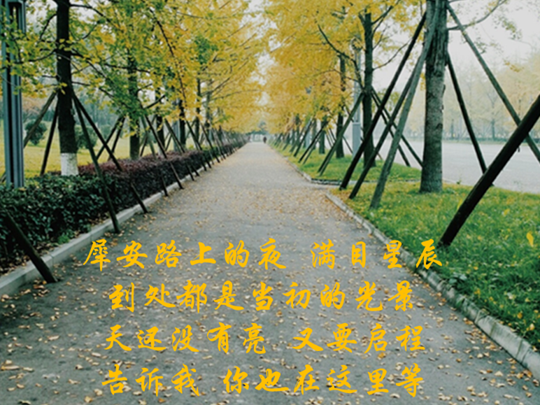 澳门彩票有限公司网上投注