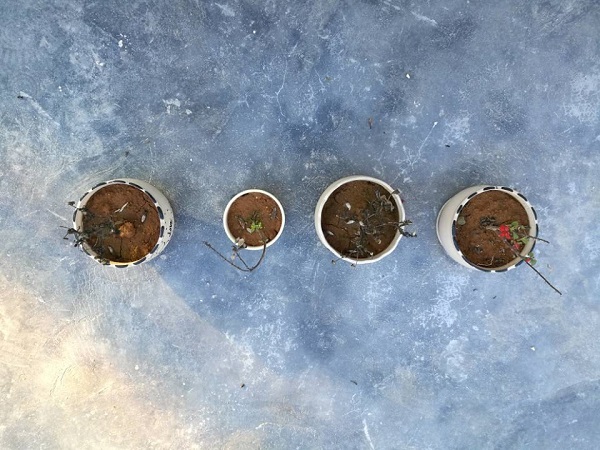 澳门彩票有限公司网上投注