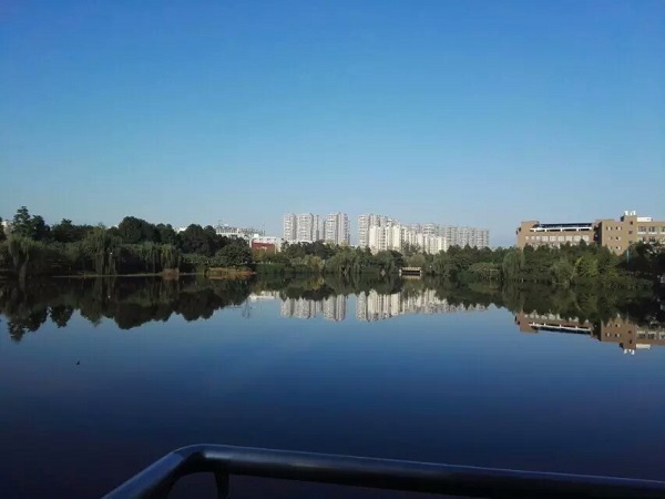 澳门彩票有限公司网上投注