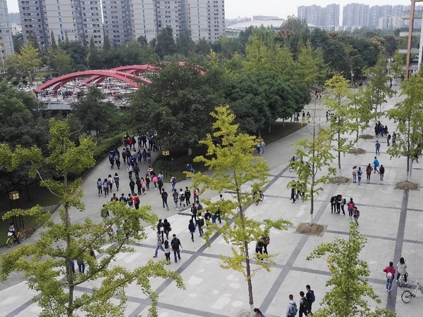 澳门彩票有限公司网上投注