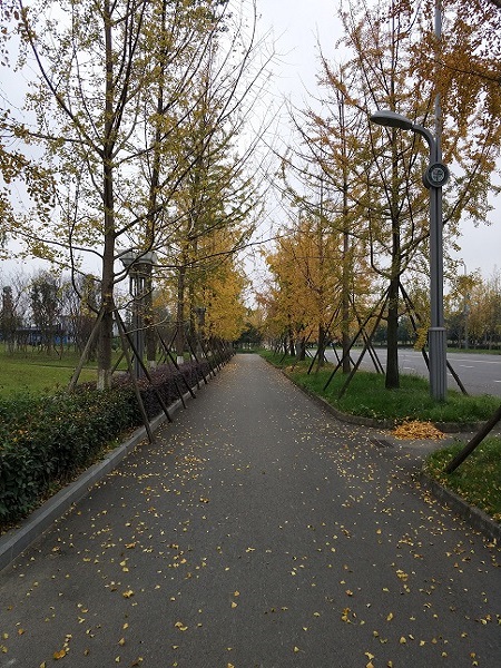 澳门彩票有限公司网上投注