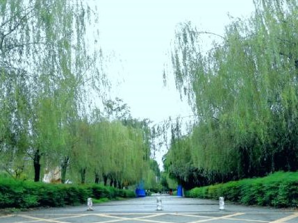 澳门彩票有限公司网上投注
