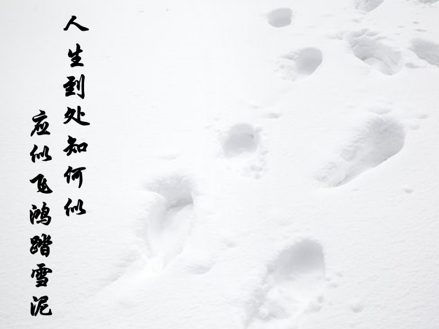澳门彩票有限公司网上投注